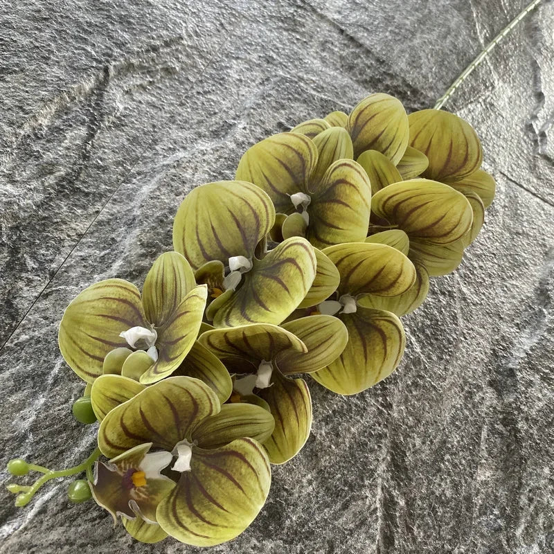 Artificial phalaenopsis decorative orchid for wedding and garden - Blackish Green