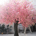 Peach 09