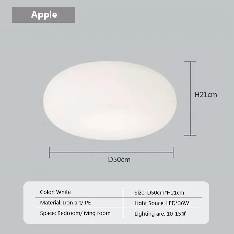 Modern girl's room lamp, warm and romantic living room atmosphere decoration lamp - PL802 B 50cm CL / Stepless dimming-RC