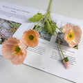 Orange Pink