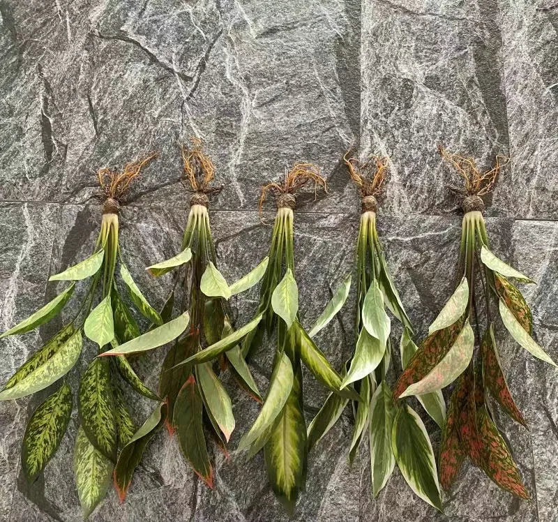 Artificial plastic plants with roots for wedding decoration - view 3