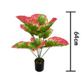 55cm No Pot Green
