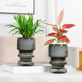 Hydroponic flower pot with automatic garden decoration