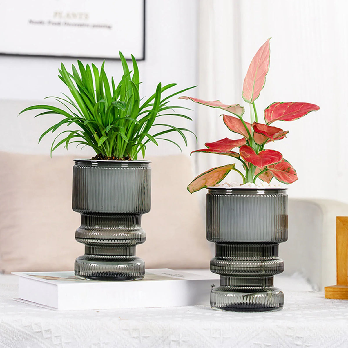Hydroponic flower pot with automatic garden decoration