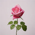 Pink Red
