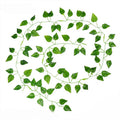 Feuille verte