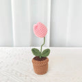 Pink Tulip