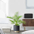 Small artificial palm plastic plants for interior and exterior decoration