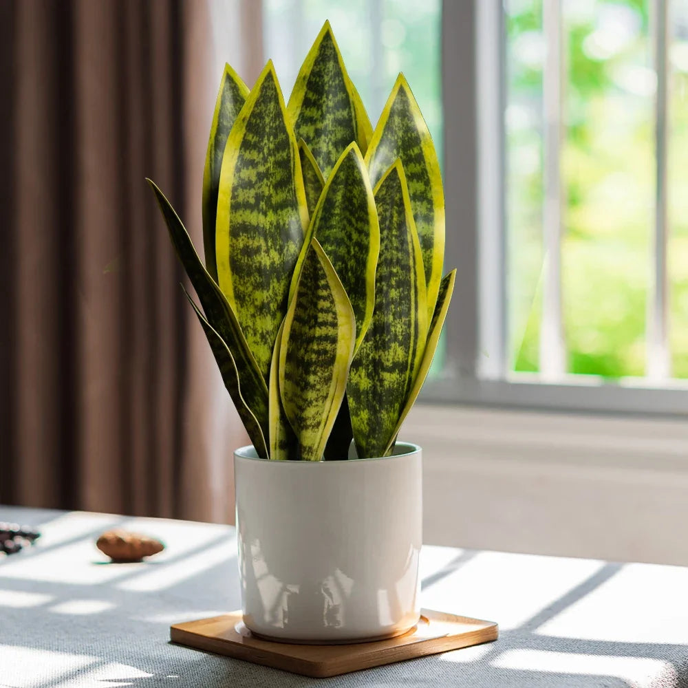 Succulent artificial plastic plants for interior decoration - view 2
