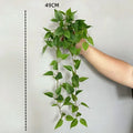 Green Laurel Leaf
