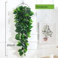 Decorative hanging plants for garden and wedding - Evergreen