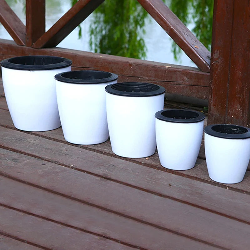 Modern self-watering gardener for succulent plants and orchids - view 4