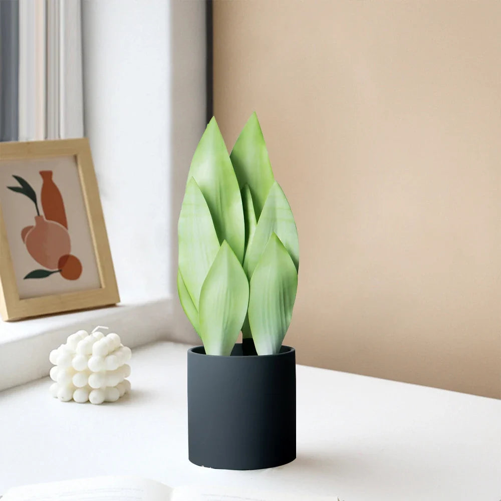 Artificial ornamental succulent plants for indoor and outdoor use - view 3