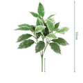 Rosemary Leaf2