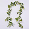 New Rose Vine