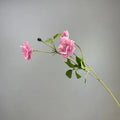 Dark Pink
