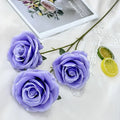 Light Purple