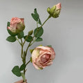 Pink Type B