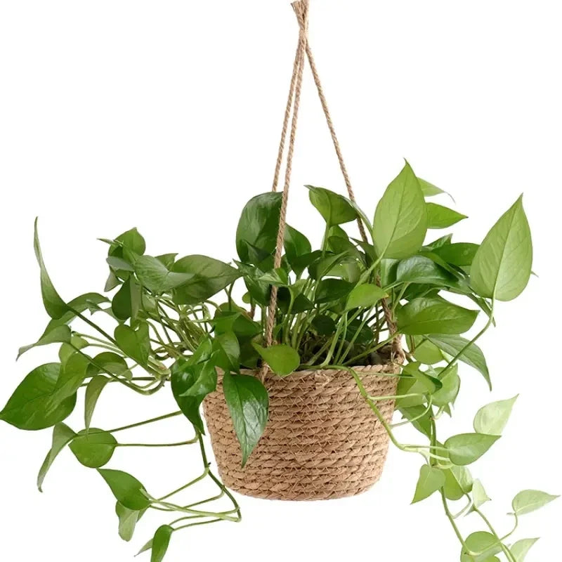 Classic Macrame Jute Rope Hanging Planter, Indoor Outdoor - view 5