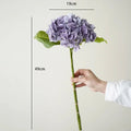 Purple Hydrangea