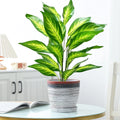 Large artificial tropical plant with leaves for interior decoration
