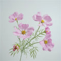 Light Purple Pink
