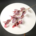 Autumn Pink