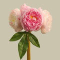 Bouquet of silk peonies for elegant interior decoration - Pink Lotus