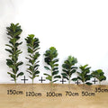 Artificial plants ficus large size for interior and exterior decoration - 6 pieces / No Pot