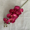 Pink Red