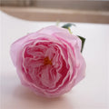 Pink Purple