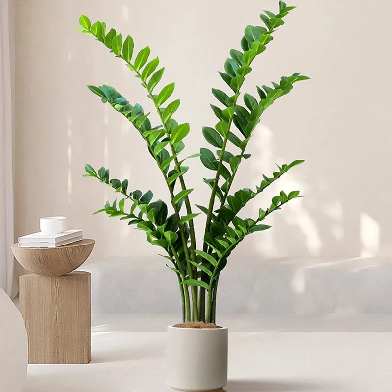 Artificial plants ficus and zamioculcas for interior decoration