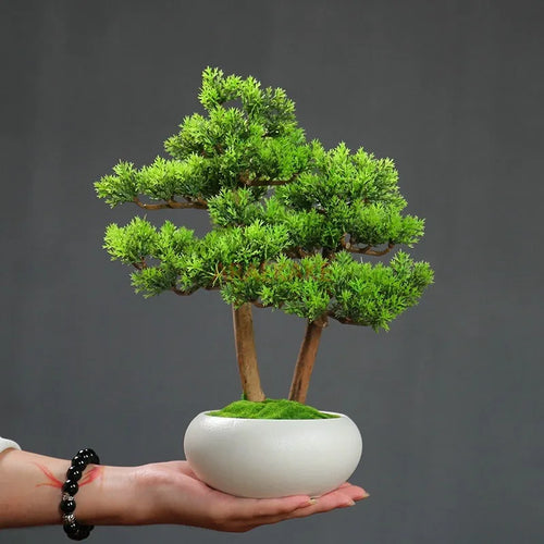 1PCS Simulated welcoming pine bonsai ornaments, pine bonsai desktop plant decorations, biomimetic small green plants - view 2
