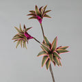 83cm Purple