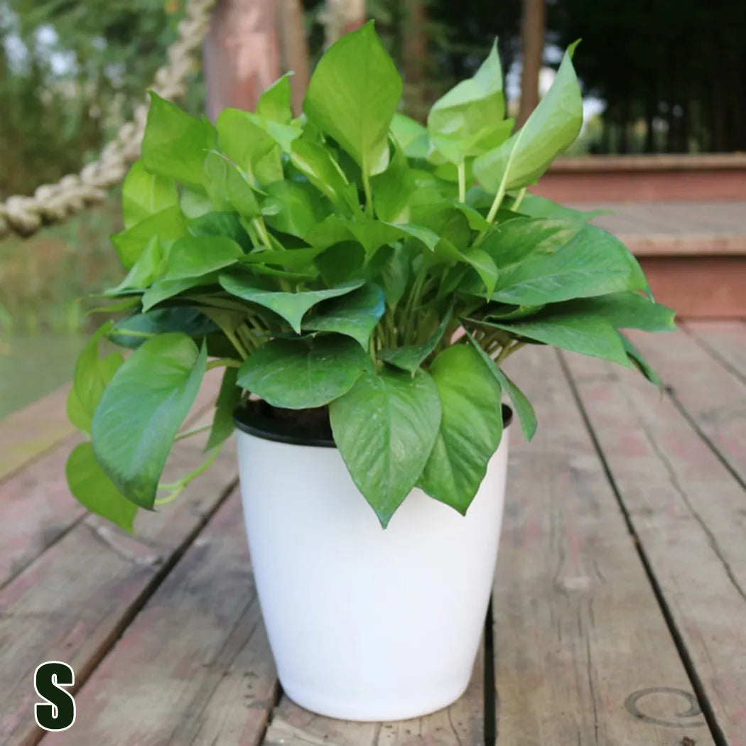 Automatic flower pot in plastic porcelain effect - S