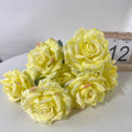 Light Yellow