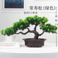 CS Green Pine