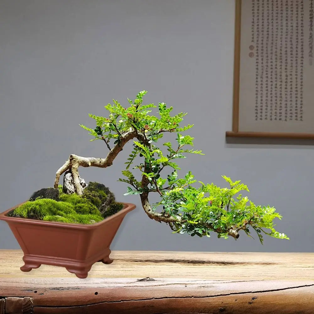 Clay flower pots for gardening and creative bonsai - view 10
