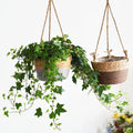 Macrame hanging gardener for indoor and outdoor plants