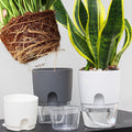 Plastic flower pot with automatic watering and absorbent rope