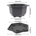 Hexagonal M with Tray