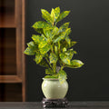 Realistic artificial ficus tree for interior and exterior decoration