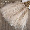 Light Yellow
