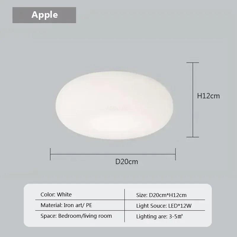 Modern girl's room lamp, warm and romantic living room atmosphere decoration lamp - PL802 B 20cm CL / Stepless dimming-RC