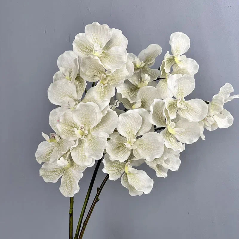 Set of 2 artificial vanda orchids for interior decoration