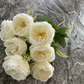 Cream White