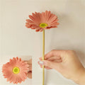 Corail
