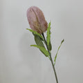 Pink Purple
