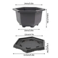 S Hexagonal and Tray