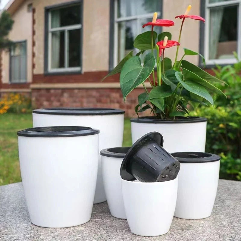Modern self-watering gardener for succulent plants and orchids - view 2